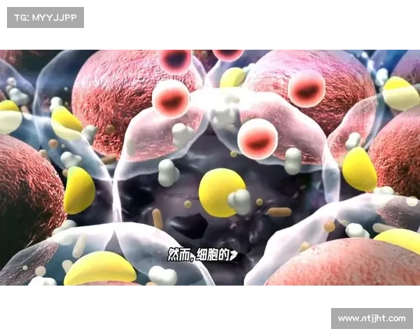 古老世界神秘生物的奥秘与力量揭秘探索人类未解之谜的奇幻旅程 古老世界神秘生物的奥秘与力量揭秘探索人类未解之谜的奇幻旅程